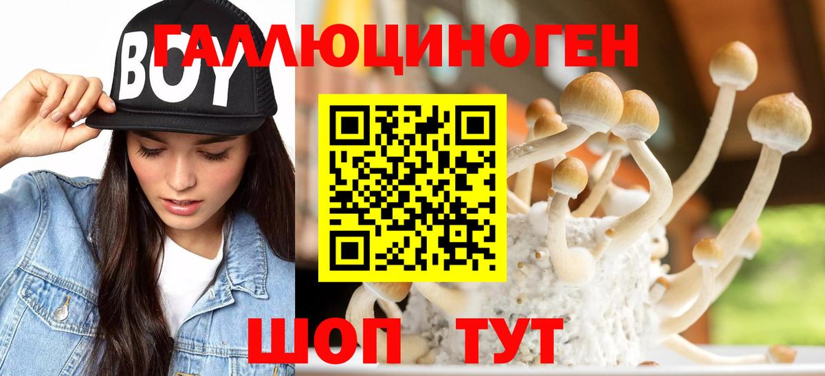 где продают   Галлюциногенные грибы Magic Shrooms  Вход с VPN  Пыть-Ях 
